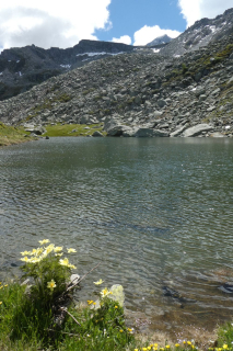 P1050551