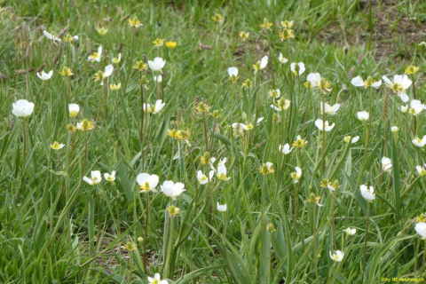 P1050571