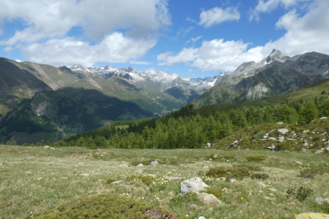 P1050573