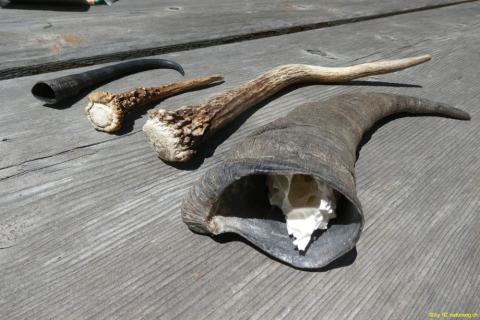 P1050574