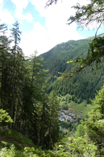 P1050576