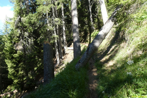 P1050581
