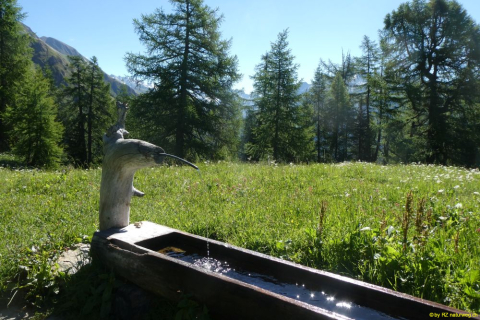 P1050582