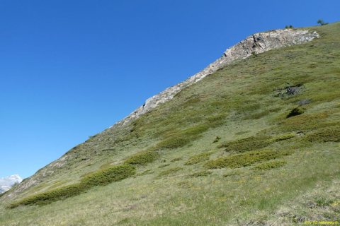 P1050589