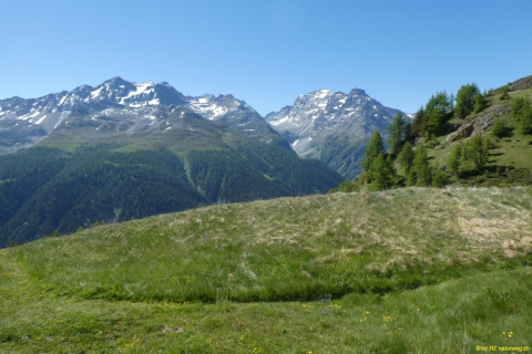 P1050591