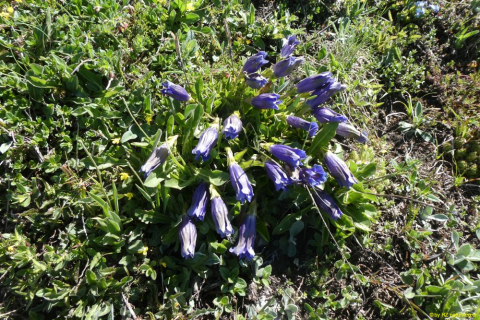 P1050593