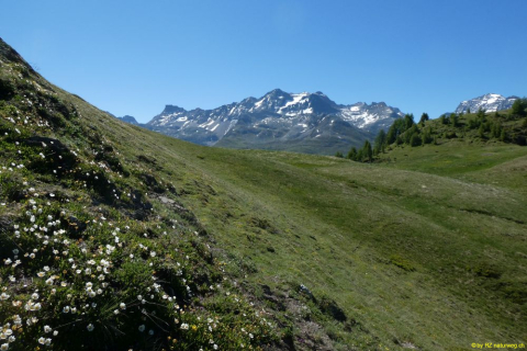 P1050595