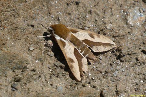 P1050600