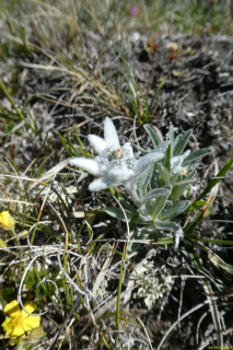 P1050607