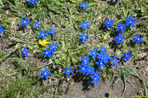 P1050615