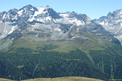 P1050663