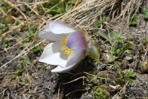 P1050671