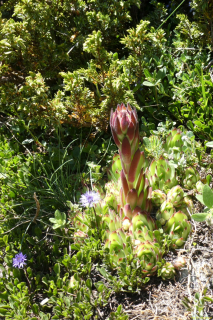 P1050700