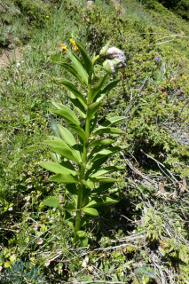P1050735