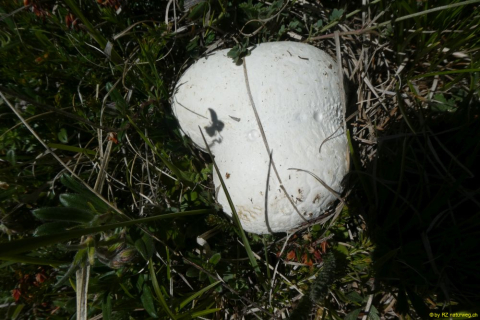 P1050772