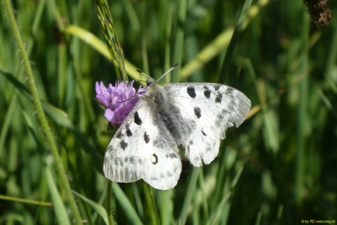 P1050788
