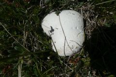 P1050772