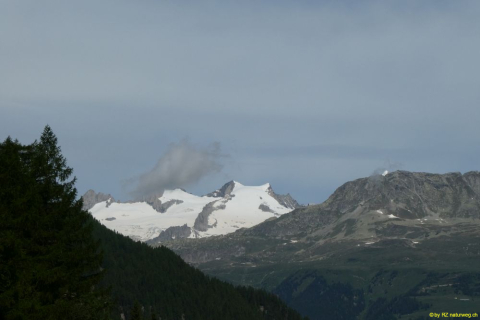 P1050429