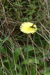 P1050440