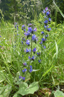 P1050442