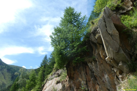 P1050444