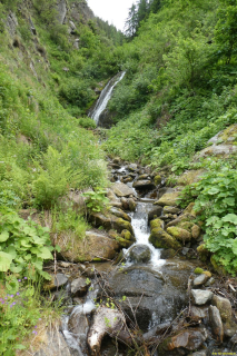 P1050475