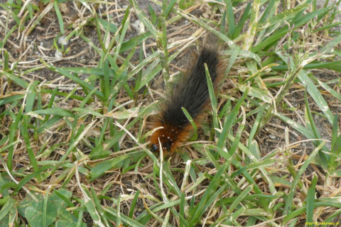 P1050479