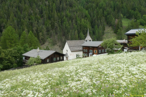 P1050489