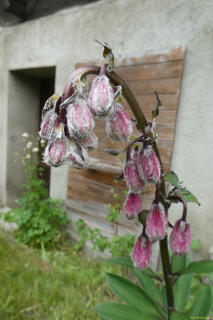 P1050494