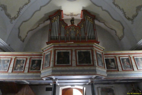P1050497