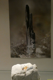 P1050814