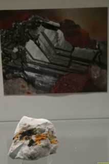 P1050815