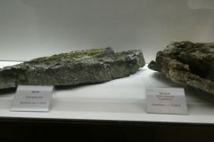 P1050804