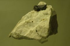 P1050813