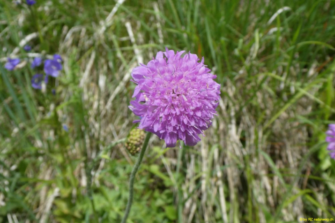 P1050227