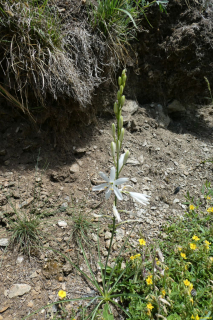 P1050229