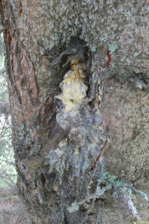 P1050254
