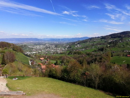2_2022-04-19-SAC-RS-Punkt-999-23