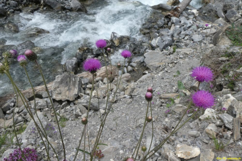 2022-06-21-SAC-Gruensee-Fuerggli-021