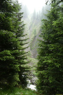 2022-06-21-SAC-Gruensee-Fuerggli-028