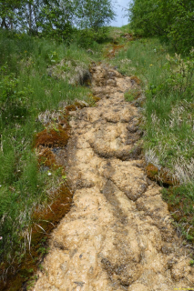 2022-06-21-SAC-Gruensee-Fuerggli-030