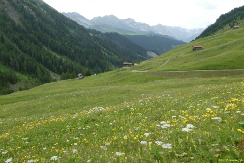 2022-06-21-SAC-Gruensee-Fuerggli-038