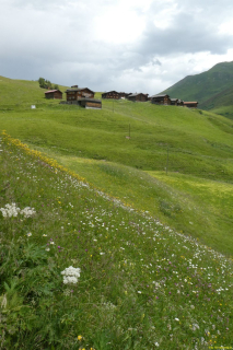 2022-06-21-SAC-Gruensee-Fuerggli-042