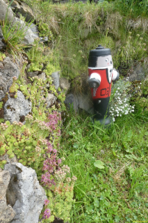 2022-06-21-SAC-Gruensee-Fuerggli-048