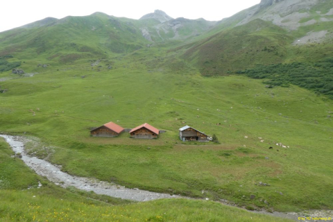 2022-06-21-SAC-Gruensee-Fuerggli-054