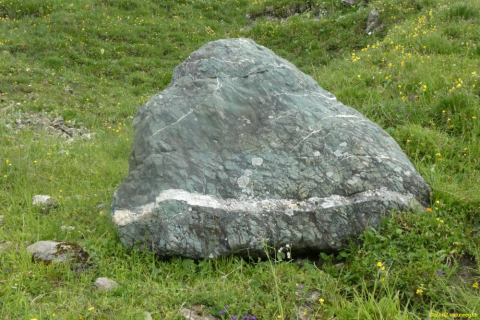 2022-06-21-SAC-Gruensee-Fuerggli-057