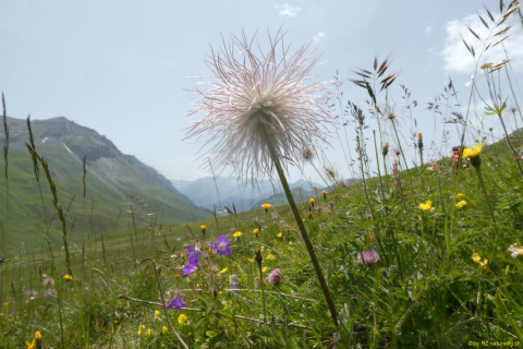 2022-06-21-SAC-Gruensee-Fuerggli-085
