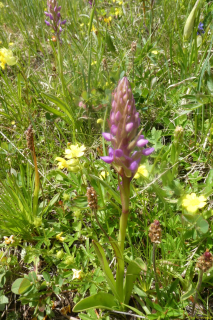 2022-06-21-SAC-Gruensee-Fuerggli-096