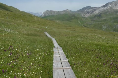 2022-06-21-SAC-Gruensee-Fuerggli-105