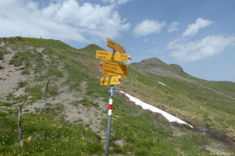 2022-06-21-SAC-Gruensee-Fuerggli-113